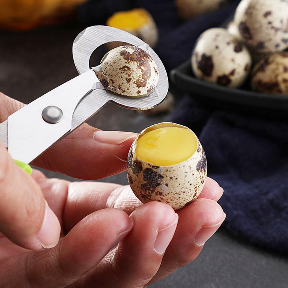 Güvercin Bıldırcın Açık Kırık  - Egg Separator Tool incelemesi ve fiyatı