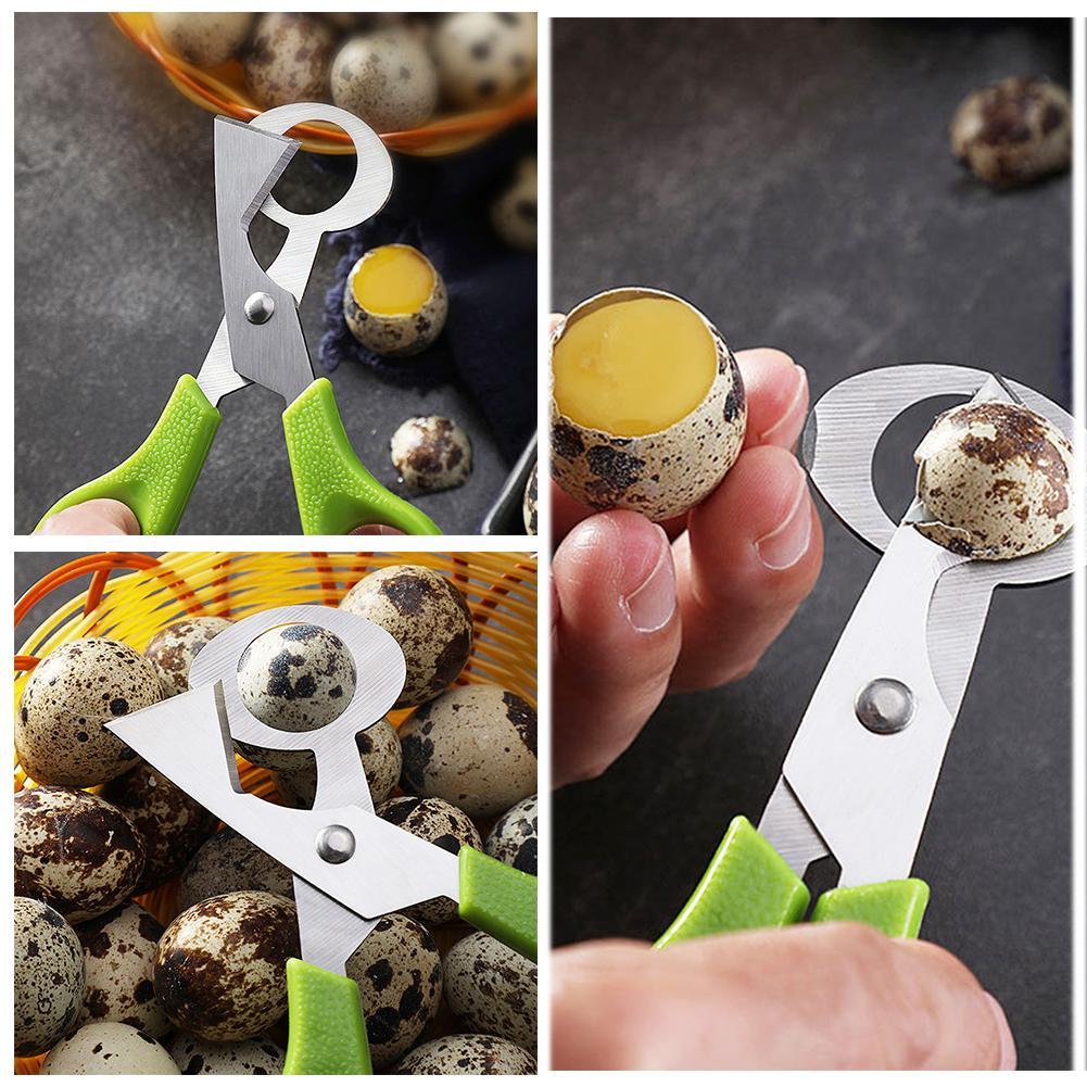 Güvercin Bıldırcın Açık Kırık  - Egg Separator Tool incelemesi ve fiyatı