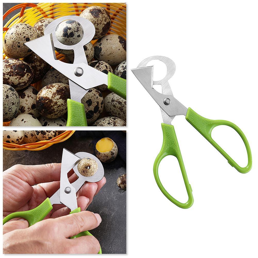 Güvercin Bıldırcın Açık Kırık  - Egg Separator Tool incelemesi ve fiyatı
