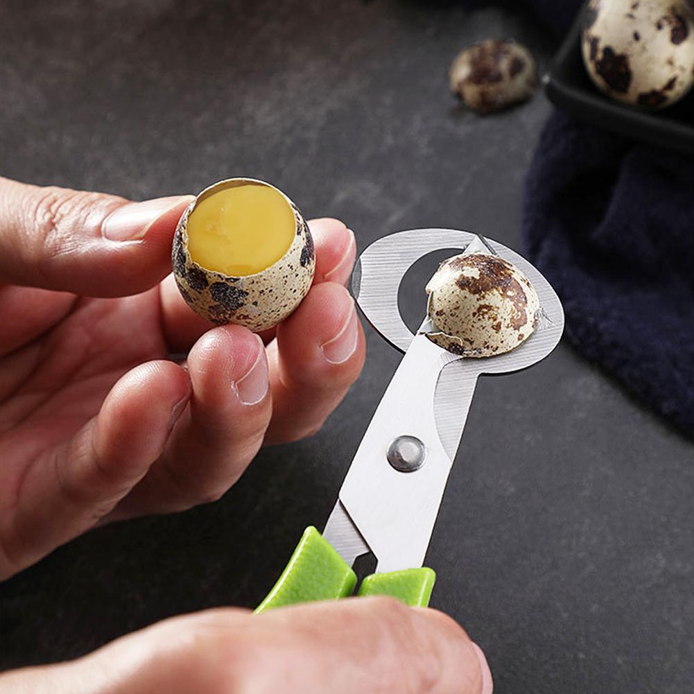 Güvercin Bıldırcın Açık Kırık  - Egg Separator Tool incelemesi ve fiyatı